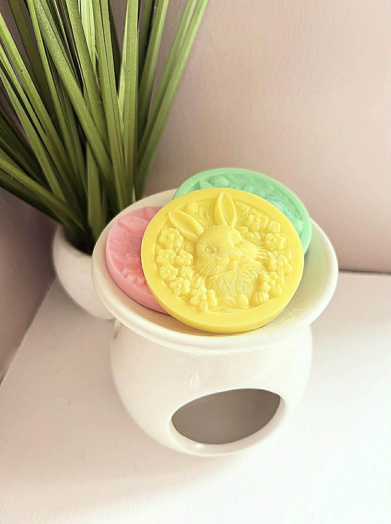 Wax Melts