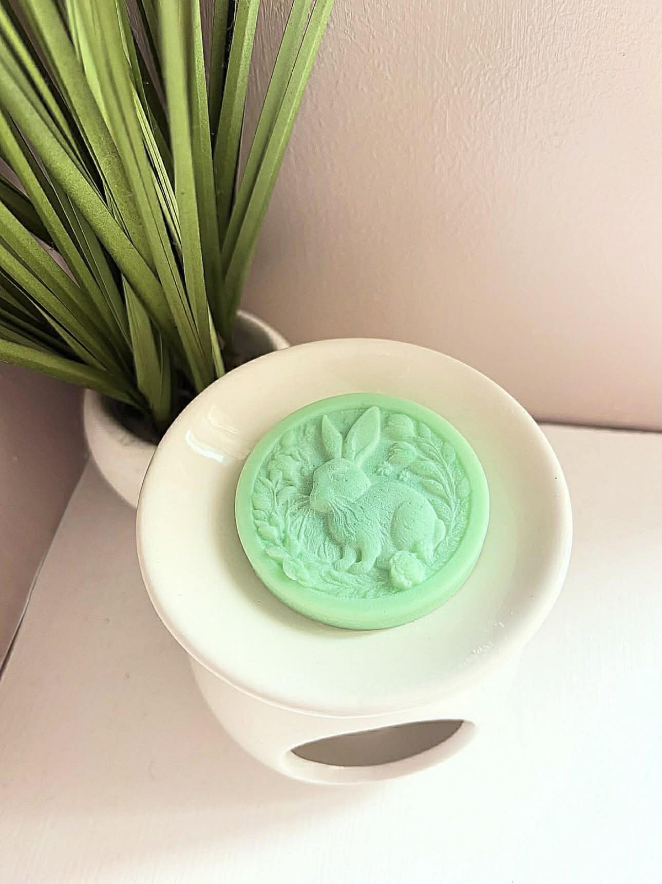 Wax Melts