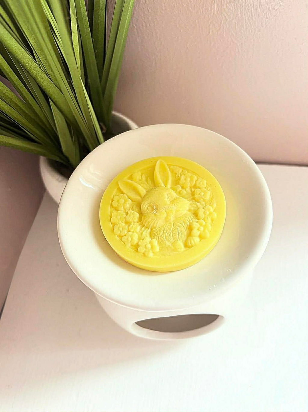 Wax Melts