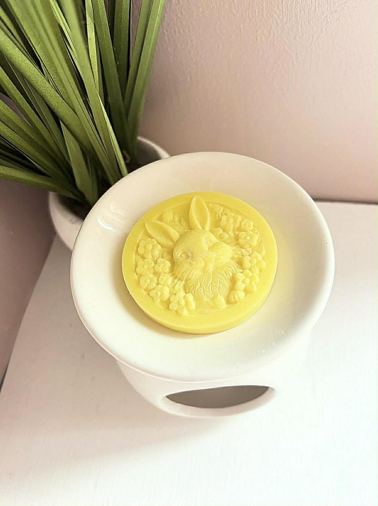 Wax Melts